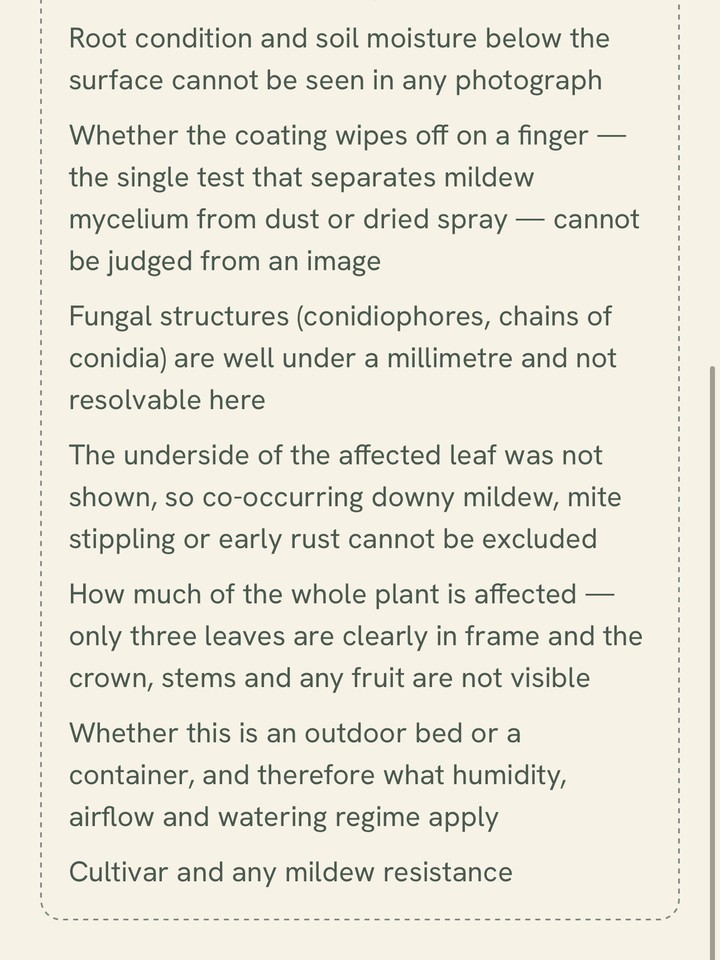 The honesty box listing what the photograph could not show, including root condition and whether the coating wipes off.