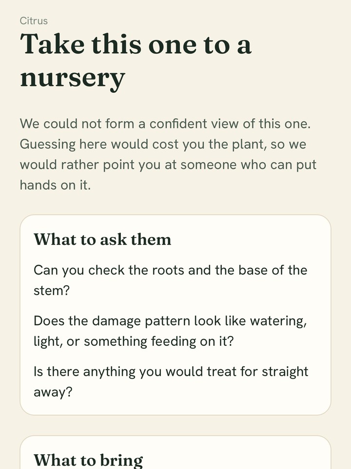 The nursery escalation screen with questions to ask and what to bring.