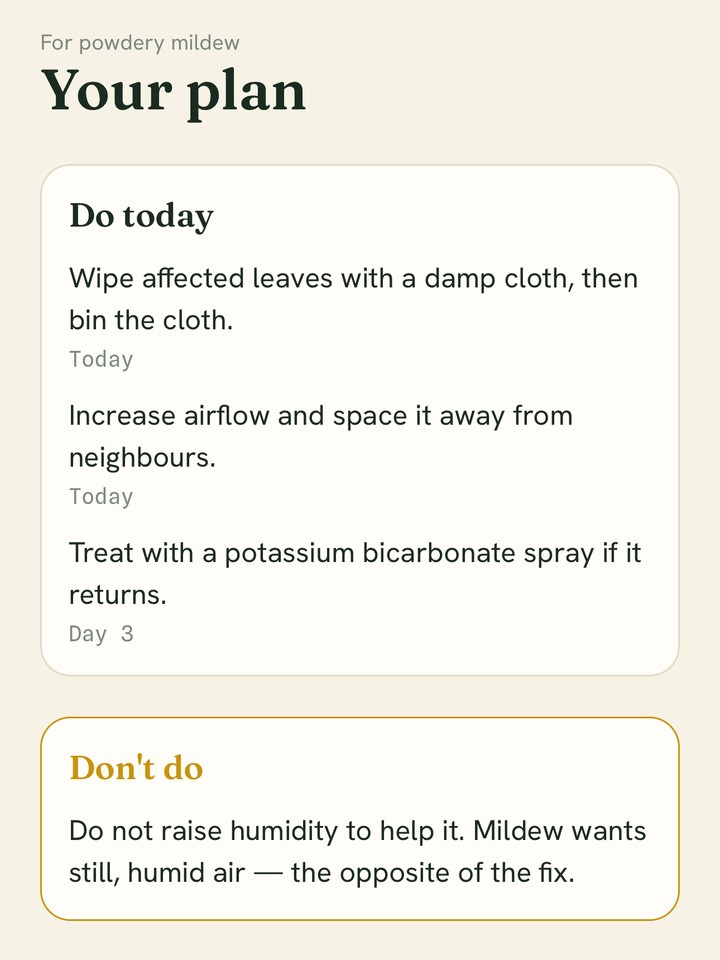 The treatment plan with its Do today, Don't do and Watch for sections.