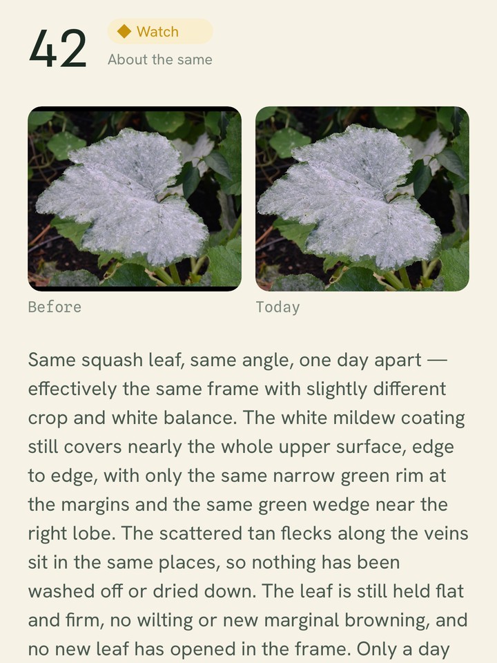 A check-in comparing the before and after photographs side by side, with the score broken into components.